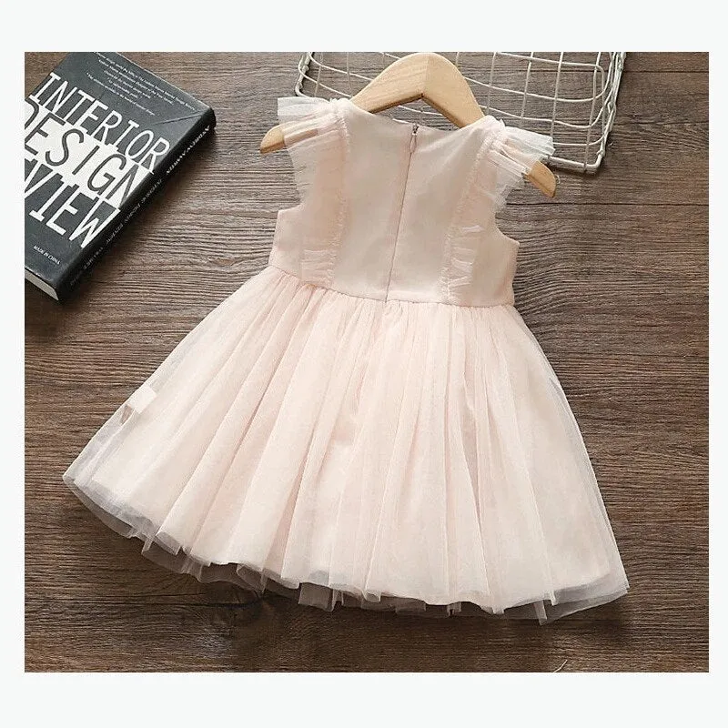 Girls Summer Dress Party Dresses Embroidery Birthday Dress