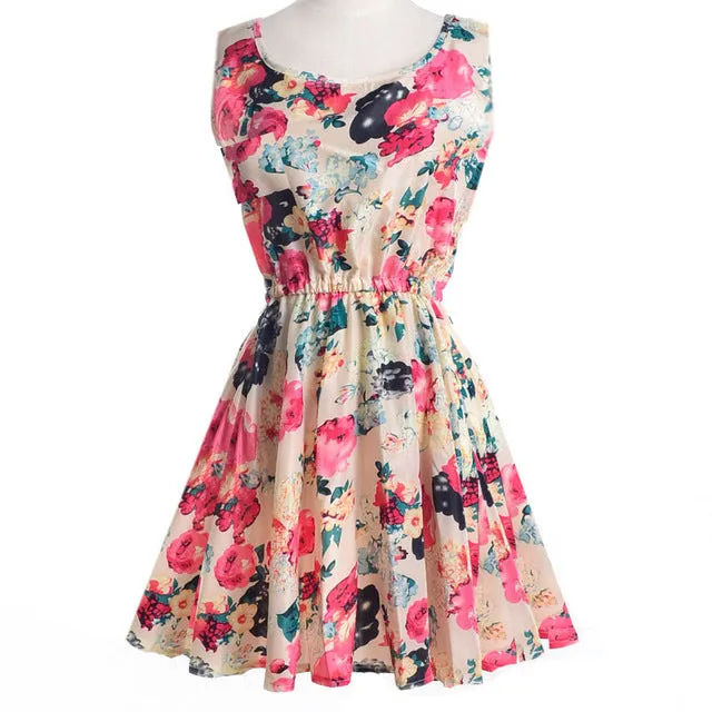 Women Summer Dress 2017 Brand Fashion New  Apricot Sleeveless O-Neck Florals Print Pleated Party Clubwear Formal Dress